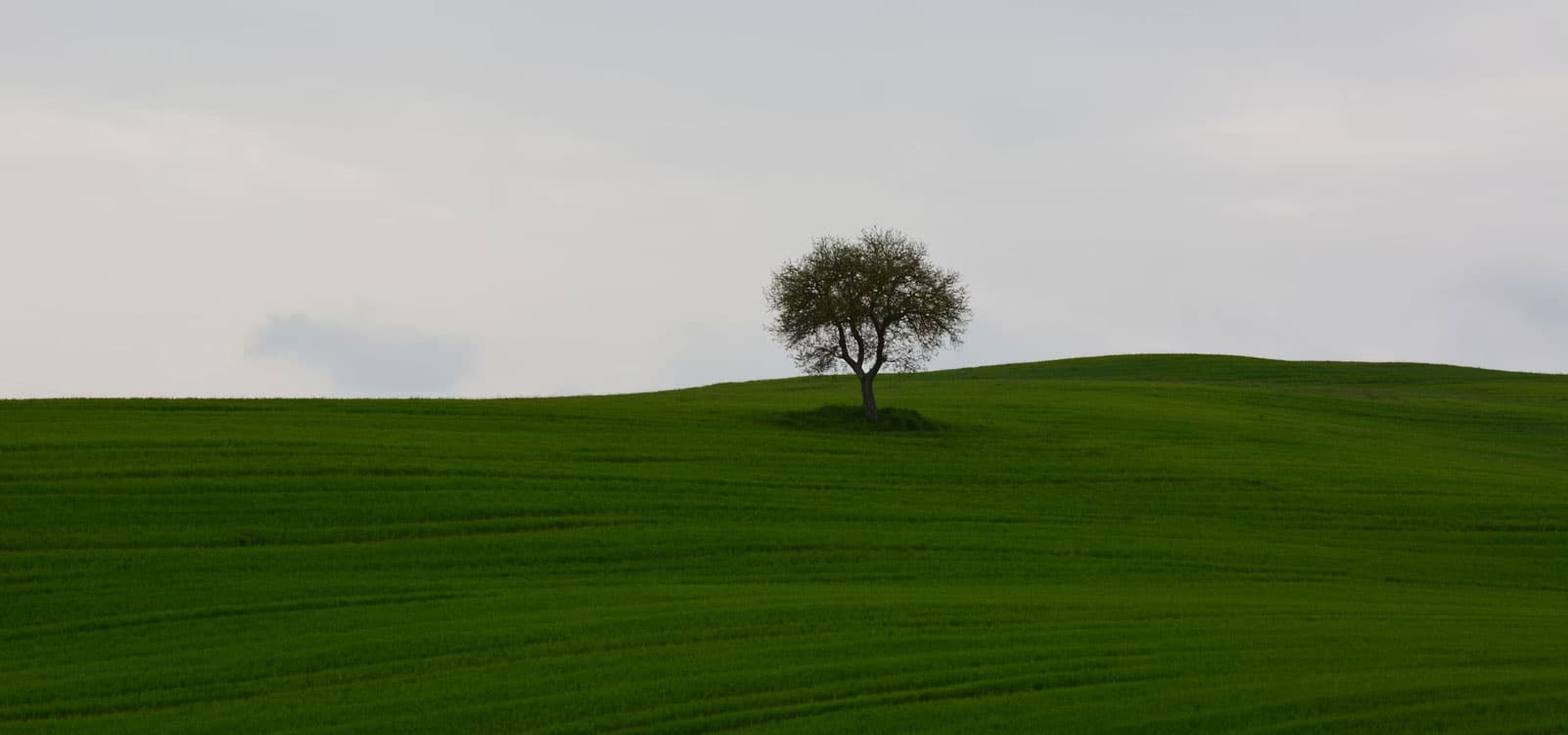 How Anxiety Affects the Body: Signs You Might Be Missing